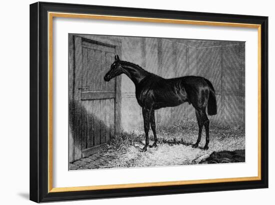 'Foig-A-Ballagh', c1841-1860, (1911)-Unknown-Framed Giclee Print