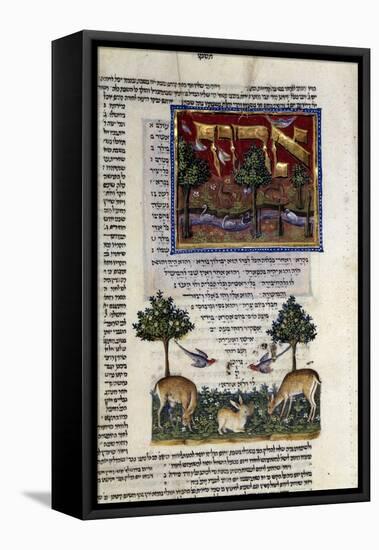 Fol.80 from 'The Rothschild Miscellany', Northern Italy, C.1450-80-null-Framed Premier Image Canvas