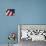 Folded American Flag-Joseph Sohm-Photographic Print displayed on a wall