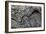 Folded Rock Formation-Martin Bond-Framed Photographic Print