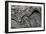 Folded Rock Formation-Martin Bond-Framed Photographic Print