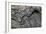 Folded Rock Formation-Martin Bond-Framed Photographic Print