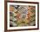 Folding Fan, Kyoto, Japan-Shin Terada-Framed Photographic Print