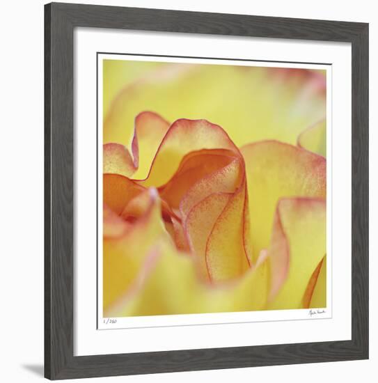 Folds-Michelle Wermuth-Framed Giclee Print