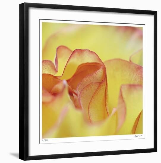 Folds-Michelle Wermuth-Framed Giclee Print