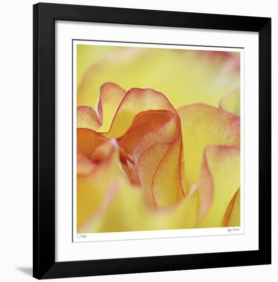 Folds-Michelle Wermuth-Framed Giclee Print