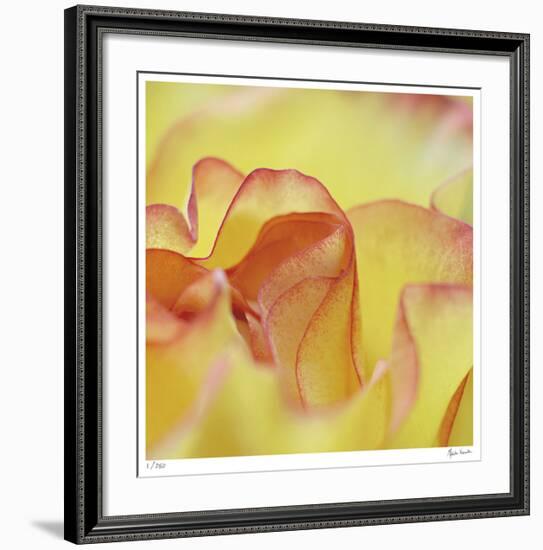 Folds-Michelle Wermuth-Framed Giclee Print