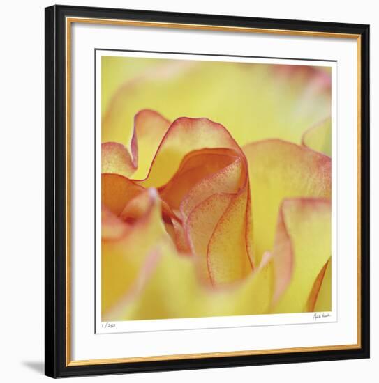 Folds-Michelle Wermuth-Framed Giclee Print