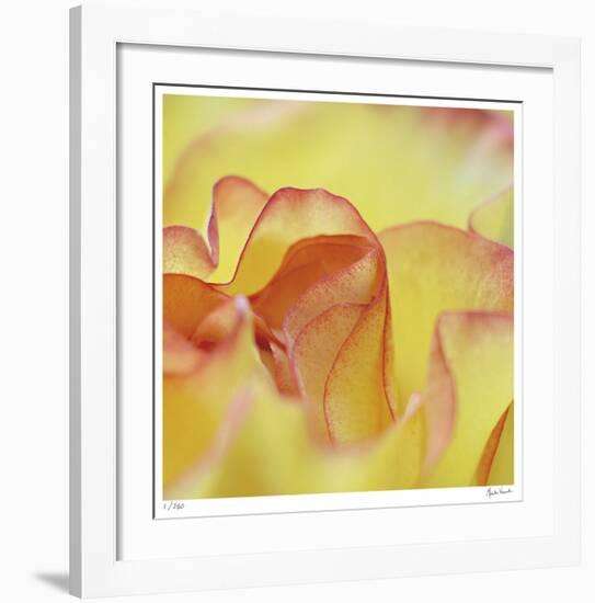 Folds-Michelle Wermuth-Framed Giclee Print