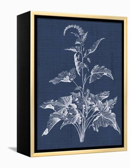 Foliage Chintz II-Vision Studio-Framed Stretched Canvas