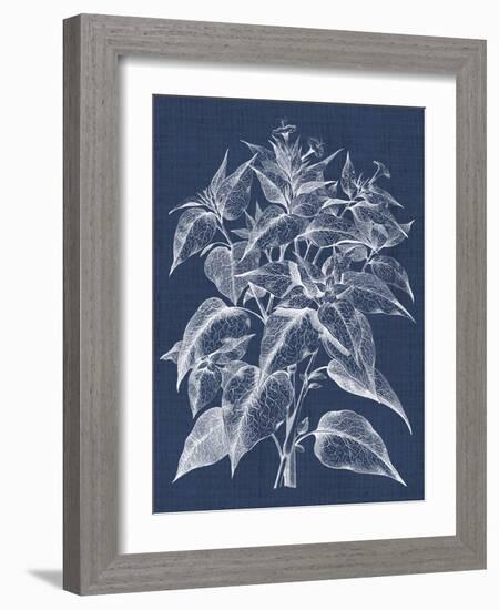 Foliage Chintz III-Vision Studio-Framed Art Print