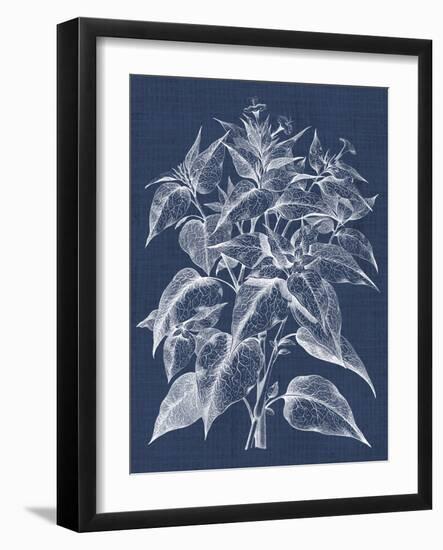 Foliage Chintz III-Vision Studio-Framed Art Print