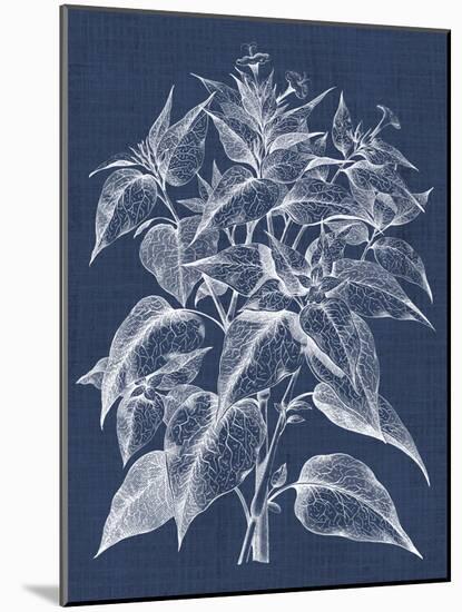 Foliage Chintz III-Vision Studio-Mounted Art Print