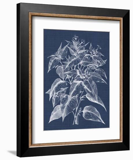 Foliage Chintz III-Vision Studio-Framed Premium Giclee Print