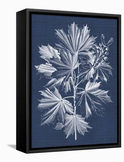 Foliage Chintz V-Vision Studio-Framed Stretched Canvas