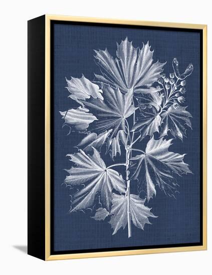 Foliage Chintz V-Vision Studio-Framed Stretched Canvas