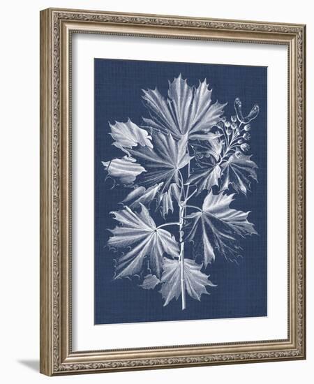 Foliage Chintz V-Vision Studio-Framed Art Print