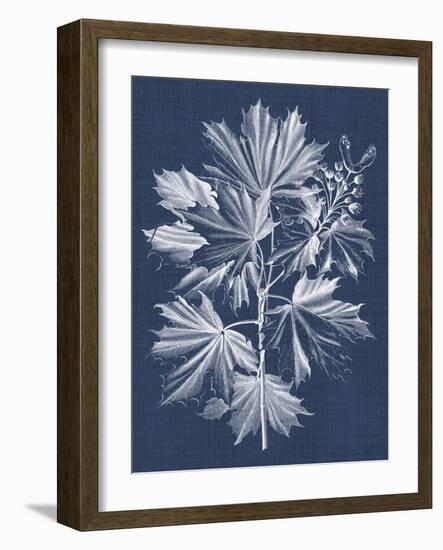 Foliage Chintz V-Vision Studio-Framed Art Print