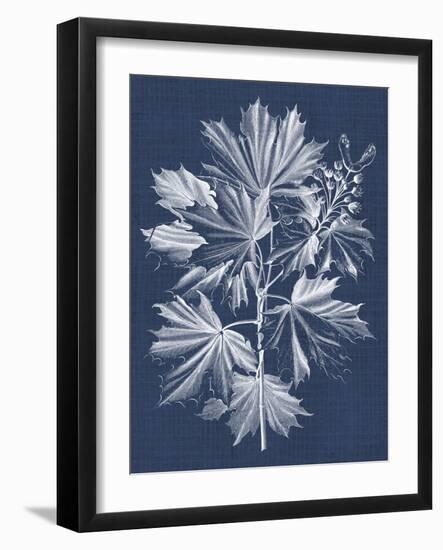 Foliage Chintz V-Vision Studio-Framed Art Print