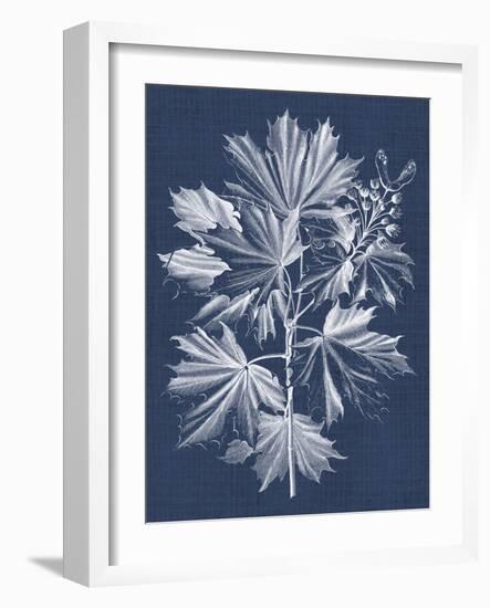 Foliage Chintz V-Vision Studio-Framed Art Print