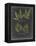 Foliage Dramatique IV-Vision Studio-Framed Stretched Canvas