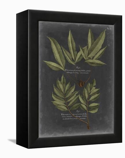 Foliage Dramatique IV-Vision Studio-Framed Stretched Canvas