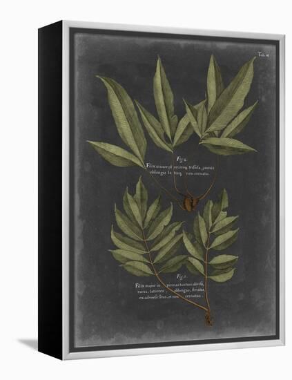 Foliage Dramatique IV-Vision Studio-Framed Stretched Canvas