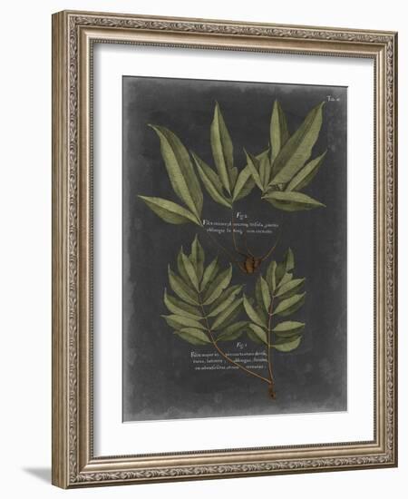 Foliage Dramatique IV-Vision Studio-Framed Art Print