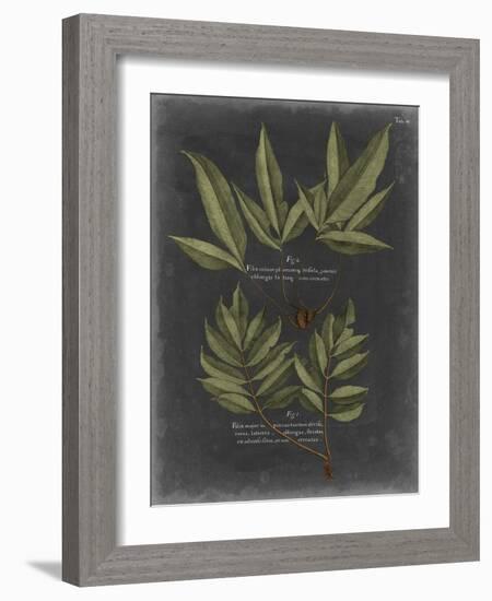 Foliage Dramatique IV-Vision Studio-Framed Art Print