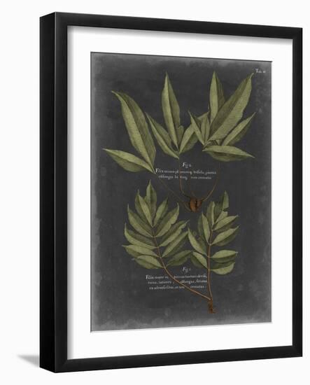 Foliage Dramatique IV-Vision Studio-Framed Art Print