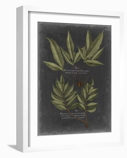 Foliage Dramatique IV-Vision Studio-Framed Art Print