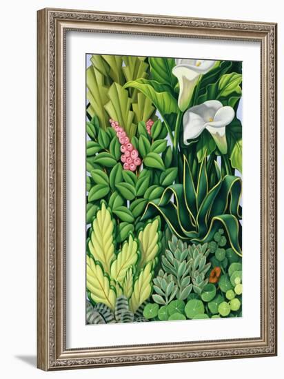 Foliage I, 2003-Catherine Abel-Framed Giclee Print