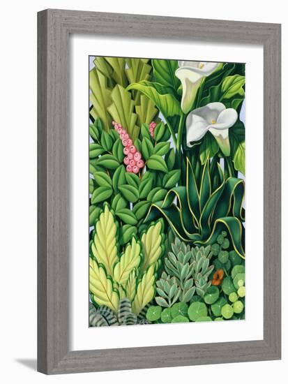 Foliage I, 2003-Catherine Abel-Framed Giclee Print