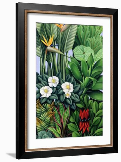 Foliage II, 2005-Catherine Abel-Framed Giclee Print