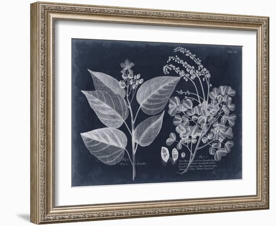 Foliage on Navy III-null-Framed Art Print