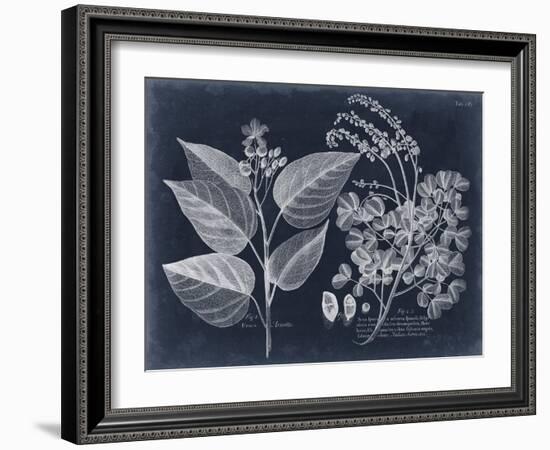 Foliage on Navy III-null-Framed Art Print