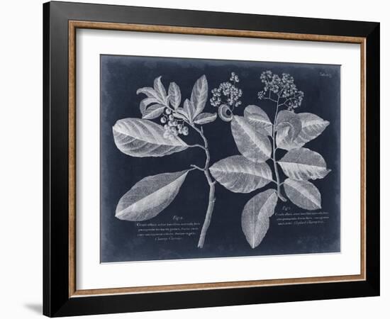 Foliage on Navy IV-null-Framed Art Print