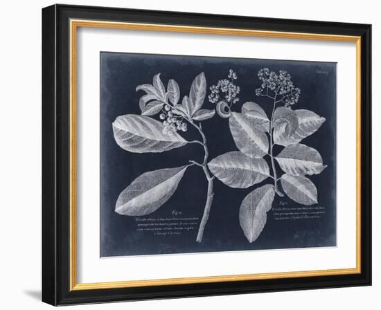 Foliage on Navy IV-null-Framed Art Print