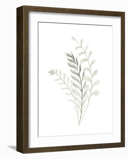 Foliage Sage 2-Kimberly Allen-Framed Art Print