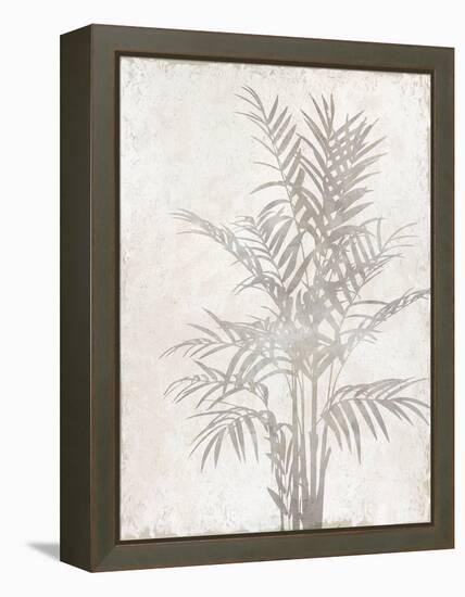 Foliage Shadow-Tania Bello-Framed Stretched Canvas