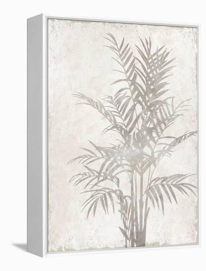 Foliage Shadow-Tania Bello-Framed Stretched Canvas