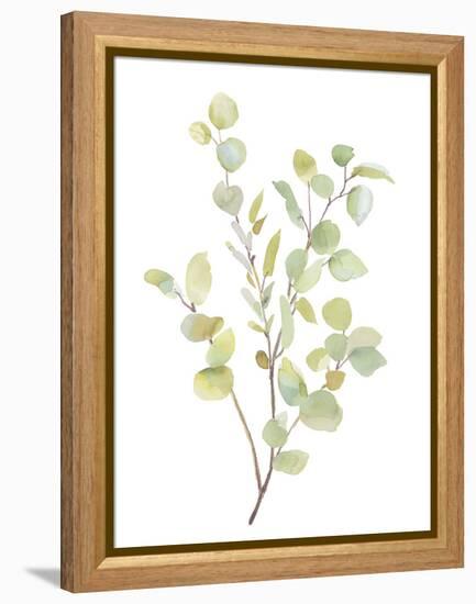 Foliage Spray - Grow-Sandra Jacobs-Framed Stretched Canvas
