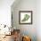 Foliage Study - Glide-Tania Bello-Framed Giclee Print displayed on a wall