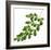 Foliage Study - Glide-Tania Bello-Framed Giclee Print