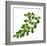 Foliage Study - Glide-Tania Bello-Framed Giclee Print