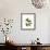Foliage Study - Sail-Tania Bello-Framed Giclee Print displayed on a wall