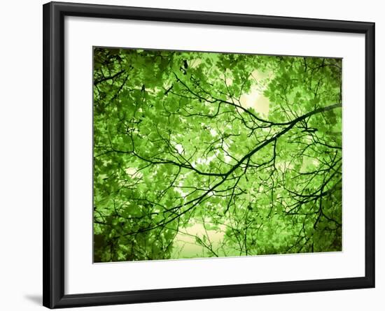 Foliage Tree, Branches, Branches, Leaves, Green-Alaya Gadeh-Framed Photographic Print