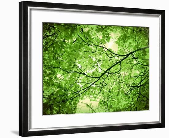 Foliage Tree, Branches, Branches, Leaves, Green-Alaya Gadeh-Framed Photographic Print