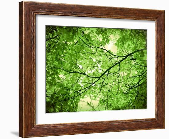 Foliage Tree, Branches, Branches, Leaves, Green-Alaya Gadeh-Framed Photographic Print