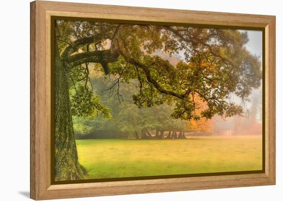 Foliage-Viviane Fedieu Daniel-Framed Premier Image Canvas